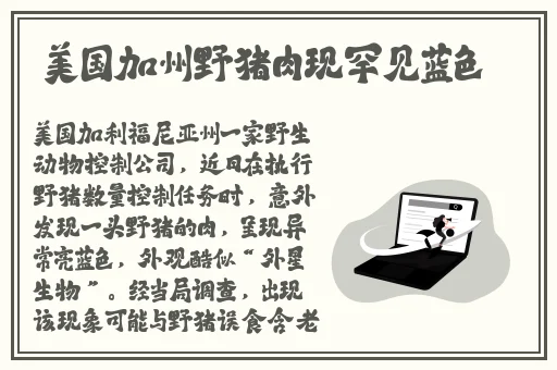 亚洲第一欧美的日产